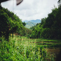 China farmlands